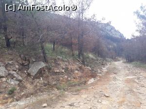 [P28] Drumul spre Thimonia este rău și mai mult de 500 de m cât scrie pe panoul din șosea. Și se văd urmele incendiului destul de mult.  » foto by Aurici
 - 
<span class="allrVoted glyphicon glyphicon-heart hidden" id="av879151"></span>
<a class="m-l-10 hidden" id="sv879151" onclick="voting_Foto_DelVot(,879151,460)" role="button">șterge vot <span class="glyphicon glyphicon-remove"></span></a>
<a id="v9879151" class=" c-red"  onclick="voting_Foto_SetVot(879151)" role="button"><span class="glyphicon glyphicon-heart-empty"></span> <b>LIKE</b> = Votează poza</a> <img class="hidden"  id="f879151W9" src="/imagini/loader.gif" border="0" /><span class="AjErrMes hidden" id="e879151ErM"></span>