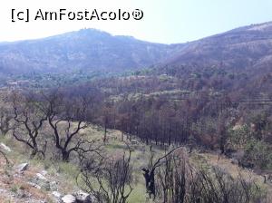[P03] În drum spre Kazaviti. Vedeți zona verde, acolo unde este satul și cum arată jur-împrejur. Incendiul de anul trecut a fost catastrofal. Cât de groaznic o fi fost să stai acolo în munte și să vezi jur-împrejur foc și fum?  » foto by Aurici
 - 
<span class="allrVoted glyphicon glyphicon-heart hidden" id="av879126"></span>
<a class="m-l-10 hidden" id="sv879126" onclick="voting_Foto_DelVot(,879126,460)" role="button">șterge vot <span class="glyphicon glyphicon-remove"></span></a>
<a id="v9879126" class=" c-red"  onclick="voting_Foto_SetVot(879126)" role="button"><span class="glyphicon glyphicon-heart-empty"></span> <b>LIKE</b> = Votează poza</a> <img class="hidden"  id="f879126W9" src="/imagini/loader.gif" border="0" /><span class="AjErrMes hidden" id="e879126ErM"></span>