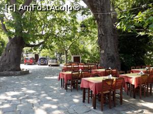 [P04] Piața cu Platani de la intrarea în Kazaviti, unde am băut o cafea, de data asta.  » foto by Aurici
 - 
<span class="allrVoted glyphicon glyphicon-heart hidden" id="av879127"></span>
<a class="m-l-10 hidden" id="sv879127" onclick="voting_Foto_DelVot(,879127,460)" role="button">șterge vot <span class="glyphicon glyphicon-remove"></span></a>
<a id="v9879127" class=" c-red"  onclick="voting_Foto_SetVot(879127)" role="button"><span class="glyphicon glyphicon-heart-empty"></span> <b>LIKE</b> = Votează poza</a> <img class="hidden"  id="f879127W9" src="/imagini/loader.gif" border="0" /><span class="AjErrMes hidden" id="e879127ErM"></span>