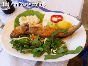 [P61] Un pește bun pe care nu ștu cum îl cheamă, la Taverna lui Andreas din Klisma.  » foto by Aurici
 - 
<span class="allrVoted glyphicon glyphicon-heart hidden" id="av879185"></span>
<a class="m-l-10 hidden" id="sv879185" onclick="voting_Foto_DelVot(,879185,460)" role="button">șterge vot <span class="glyphicon glyphicon-remove"></span></a>
<a id="v9879185" class=" c-red"  onclick="voting_Foto_SetVot(879185)" role="button"><span class="glyphicon glyphicon-heart-empty"></span> <b>LIKE</b> = Votează poza</a> <img class="hidden"  id="f879185W9" src="/imagini/loader.gif" border="0" /><span class="AjErrMes hidden" id="e879185ErM"></span>