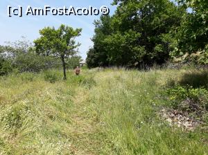 [P07] Dar ca să ajungi la ea înoți puțin prin bălării. Când intri în pădure însă, ai parte de o plimbare foarte plăcută.  » foto by Aurici
 - 
<span class="allrVoted glyphicon glyphicon-heart hidden" id="av879130"></span>
<a class="m-l-10 hidden" id="sv879130" onclick="voting_Foto_DelVot(,879130,460)" role="button">șterge vot <span class="glyphicon glyphicon-remove"></span></a>
<a id="v9879130" class=" c-red"  onclick="voting_Foto_SetVot(879130)" role="button"><span class="glyphicon glyphicon-heart-empty"></span> <b>LIKE</b> = Votează poza</a> <img class="hidden"  id="f879130W9" src="/imagini/loader.gif" border="0" /><span class="AjErrMes hidden" id="e879130ErM"></span>