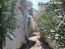 [P10] Strada in Kalirachi » foto by irinuca*
 - 
<span class="allrVoted glyphicon glyphicon-heart hidden" id="av129571"></span>
<a class="m-l-10 hidden" id="sv129571" onclick="voting_Foto_DelVot(,129571,460)" role="button">șterge vot <span class="glyphicon glyphicon-remove"></span></a>
<a id="v9129571" class=" c-red"  onclick="voting_Foto_SetVot(129571)" role="button"><span class="glyphicon glyphicon-heart-empty"></span> <b>LIKE</b> = Votează poza</a> <img class="hidden"  id="f129571W9" src="/imagini/loader.gif" border="0" /><span class="AjErrMes hidden" id="e129571ErM"></span>