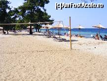 [P02] Plaja Pachis, care clar este preferata mea, daca ar fi sa mai merg in Thassos i-as rezerva o zi intraga » foto by Cris
 - 
<span class="allrVoted glyphicon glyphicon-heart hidden" id="av135238"></span>
<a class="m-l-10 hidden" id="sv135238" onclick="voting_Foto_DelVot(,135238,460)" role="button">șterge vot <span class="glyphicon glyphicon-remove"></span></a>
<a id="v9135238" class=" c-red"  onclick="voting_Foto_SetVot(135238)" role="button"><span class="glyphicon glyphicon-heart-empty"></span> <b>LIKE</b> = Votează poza</a> <img class="hidden"  id="f135238W9" src="/imagini/loader.gif" border="0" /><span class="AjErrMes hidden" id="e135238ErM"></span>