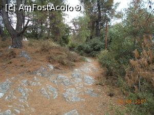 [P19] Poteca pe munte » foto by ANILU
 - 
<span class="allrVoted glyphicon glyphicon-heart hidden" id="av898953"></span>
<a class="m-l-10 hidden" id="sv898953" onclick="voting_Foto_DelVot(,898953,460)" role="button">șterge vot <span class="glyphicon glyphicon-remove"></span></a>
<a id="v9898953" class=" c-red"  onclick="voting_Foto_SetVot(898953)" role="button"><span class="glyphicon glyphicon-heart-empty"></span> <b>LIKE</b> = Votează poza</a> <img class="hidden"  id="f898953W9" src="/imagini/loader.gif" border="0" /><span class="AjErrMes hidden" id="e898953ErM"></span>