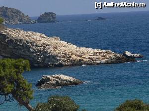 [P10] Thassos - Insula verde a Greciei. Imagini deosebite din peregrinarile noastre prin insula :)  » foto by vega06
 - 
<span class="allrVoted glyphicon glyphicon-heart hidden" id="av693472"></span>
<a class="m-l-10 hidden" id="sv693472" onclick="voting_Foto_DelVot(,693472,460)" role="button">șterge vot <span class="glyphicon glyphicon-remove"></span></a>
<a id="v9693472" class=" c-red"  onclick="voting_Foto_SetVot(693472)" role="button"><span class="glyphicon glyphicon-heart-empty"></span> <b>LIKE</b> = Votează poza</a> <img class="hidden"  id="f693472W9" src="/imagini/loader.gif" border="0" /><span class="AjErrMes hidden" id="e693472ErM"></span>