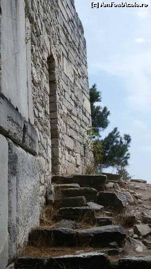 [P15] Ruine mai sus de Acropole » foto by CarmenTina
 - 
<span class="allrVoted glyphicon glyphicon-heart hidden" id="av671279"></span>
<a class="m-l-10 hidden" id="sv671279" onclick="voting_Foto_DelVot(,671279,460)" role="button">șterge vot <span class="glyphicon glyphicon-remove"></span></a>
<a id="v9671279" class=" c-red"  onclick="voting_Foto_SetVot(671279)" role="button"><span class="glyphicon glyphicon-heart-empty"></span> <b>LIKE</b> = Votează poza</a> <img class="hidden"  id="f671279W9" src="/imagini/loader.gif" border="0" /><span class="AjErrMes hidden" id="e671279ErM"></span>