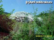 [P12] spre Panagia, soseaua urca si am admirat cariera de marmura » foto by adryana
 - 
<span class="allrVoted glyphicon glyphicon-heart hidden" id="av228582"></span>
<a class="m-l-10 hidden" id="sv228582" onclick="voting_Foto_DelVot(,228582,460)" role="button">șterge vot <span class="glyphicon glyphicon-remove"></span></a>
<a id="v9228582" class=" c-red"  onclick="voting_Foto_SetVot(228582)" role="button"><span class="glyphicon glyphicon-heart-empty"></span> <b>LIKE</b> = Votează poza</a> <img class="hidden"  id="f228582W9" src="/imagini/loader.gif" border="0" /><span class="AjErrMes hidden" id="e228582ErM"></span>
