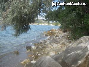 [P27] Din nou pe plaja 'Tarsanas', in departare se vede portul din Limenas » foto by dorgo
 - 
<span class="allrVoted glyphicon glyphicon-heart hidden" id="av445032"></span>
<a class="m-l-10 hidden" id="sv445032" onclick="voting_Foto_DelVot(,445032,460)" role="button">șterge vot <span class="glyphicon glyphicon-remove"></span></a>
<a id="v9445032" class=" c-red"  onclick="voting_Foto_SetVot(445032)" role="button"><span class="glyphicon glyphicon-heart-empty"></span> <b>LIKE</b> = Votează poza</a> <img class="hidden"  id="f445032W9" src="/imagini/loader.gif" border="0" /><span class="AjErrMes hidden" id="e445032ErM"></span>