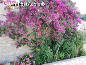 [P01] Manastirea Sf Arh Mihail » foto by cristic66
 - 
<span class="allrVoted glyphicon glyphicon-heart hidden" id="av1318007"></span>
<a class="m-l-10 hidden" id="sv1318007" onclick="voting_Foto_DelVot(,1318007,460)" role="button">șterge vot <span class="glyphicon glyphicon-remove"></span></a>
<a id="v91318007" class=" c-red"  onclick="voting_Foto_SetVot(1318007)" role="button"><span class="glyphicon glyphicon-heart-empty"></span> <b>LIKE</b> = Votează poza</a> <img class="hidden"  id="f1318007W9" src="/imagini/loader.gif" border="0" /><span class="AjErrMes hidden" id="e1318007ErM"></span>