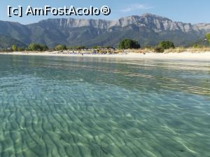 [P01] Golden Beach dimineaţa » foto by irinad
 - 
<span class="allrVoted glyphicon glyphicon-heart hidden" id="av1017855"></span>
<a class="m-l-10 hidden" id="sv1017855" onclick="voting_Foto_DelVot(,1017855,460)" role="button">șterge vot <span class="glyphicon glyphicon-remove"></span></a>
<a id="v91017855" class=" c-red"  onclick="voting_Foto_SetVot(1017855)" role="button"><span class="glyphicon glyphicon-heart-empty"></span> <b>LIKE</b> = Votează poza</a> <img class="hidden"  id="f1017855W9" src="/imagini/loader.gif" border="0" /><span class="AjErrMes hidden" id="e1017855ErM"></span>