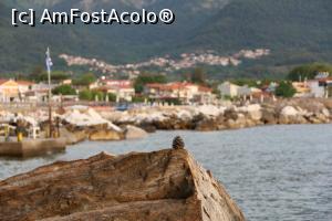 [P27] Vedere spre Golden beach de pe stancile din partea de sud a plajei!  » foto by troutpwi
 - 
<span class="allrVoted glyphicon glyphicon-heart hidden" id="av991223"></span>
<a class="m-l-10 hidden" id="sv991223" onclick="voting_Foto_DelVot(,991223,460)" role="button">șterge vot <span class="glyphicon glyphicon-remove"></span></a>
<a id="v9991223" class=" c-red"  onclick="voting_Foto_SetVot(991223)" role="button"><span class="glyphicon glyphicon-heart-empty"></span> <b>LIKE</b> = Votează poza</a> <img class="hidden"  id="f991223W9" src="/imagini/loader.gif" border="0" /><span class="AjErrMes hidden" id="e991223ErM"></span>