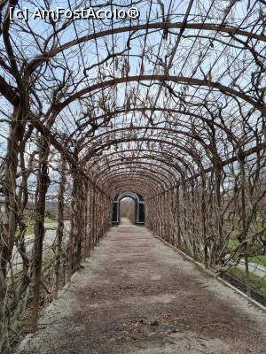 [P04] Din grădina Schonbrunn » foto by alex1987sb
 - 
<span class="allrVoted glyphicon glyphicon-heart hidden" id="av1350918"></span>
<a class="m-l-10 hidden" id="sv1350918" onclick="voting_Foto_DelVot(,1350918,461)" role="button">șterge vot <span class="glyphicon glyphicon-remove"></span></a>
<a id="v91350918" class=" c-red"  onclick="voting_Foto_SetVot(1350918)" role="button"><span class="glyphicon glyphicon-heart-empty"></span> <b>LIKE</b> = Votează poza</a> <img class="hidden"  id="f1350918W9" src="/imagini/loader.gif" border="0" /><span class="AjErrMes hidden" id="e1350918ErM"></span>