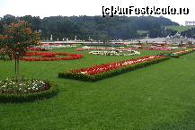 [P06] Schonbrunn - ronduri de flori de pe aleea centrala. Undeva sus se vede partial pavilionul central situat pe o colina. » foto by IUBONI
 - 
<span class="allrVoted glyphicon glyphicon-heart hidden" id="av92479"></span>
<a class="m-l-10 hidden" id="sv92479" onclick="voting_Foto_DelVot(,92479,461)" role="button">șterge vot <span class="glyphicon glyphicon-remove"></span></a>
<a id="v992479" class=" c-red"  onclick="voting_Foto_SetVot(92479)" role="button"><span class="glyphicon glyphicon-heart-empty"></span> <b>LIKE</b> = Votează poza</a> <img class="hidden"  id="f92479W9" src="/imagini/loader.gif" border="0" /><span class="AjErrMes hidden" id="e92479ErM"></span>