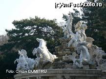 [P30] Palatul Schoenbrunn,Viena » foto by cristinadumitru*
 - 
<span class="allrVoted glyphicon glyphicon-heart hidden" id="av21450"></span>
<a class="m-l-10 hidden" id="sv21450" onclick="voting_Foto_DelVot(,21450,461)" role="button">șterge vot <span class="glyphicon glyphicon-remove"></span></a>
<a id="v921450" class=" c-red"  onclick="voting_Foto_SetVot(21450)" role="button"><span class="glyphicon glyphicon-heart-empty"></span> <b>LIKE</b> = Votează poza</a> <img class="hidden"  id="f21450W9" src="/imagini/loader.gif" border="0" /><span class="AjErrMes hidden" id="e21450ErM"></span>