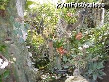 [P22] Viena - Butterfly House, adapost pentru mii de fluturi » foto by danoradea
 - 
<span class="allrVoted glyphicon glyphicon-heart hidden" id="av45011"></span>
<a class="m-l-10 hidden" id="sv45011" onclick="voting_Foto_DelVot(,45011,461)" role="button">șterge vot <span class="glyphicon glyphicon-remove"></span></a>
<a id="v945011" class=" c-red"  onclick="voting_Foto_SetVot(45011)" role="button"><span class="glyphicon glyphicon-heart-empty"></span> <b>LIKE</b> = Votează poza</a> <img class="hidden"  id="f45011W9" src="/imagini/loader.gif" border="0" /><span class="AjErrMes hidden" id="e45011ErM"></span>