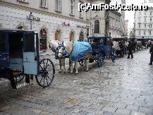 [P09] Viena - pe langa Stephansdom, admirand trasurile pentru turisti » foto by danoradea
 - 
<span class="allrVoted glyphicon glyphicon-heart hidden" id="av44975"></span>
<a class="m-l-10 hidden" id="sv44975" onclick="voting_Foto_DelVot(,44975,461)" role="button">șterge vot <span class="glyphicon glyphicon-remove"></span></a>
<a id="v944975" class=" c-red"  onclick="voting_Foto_SetVot(44975)" role="button"><span class="glyphicon glyphicon-heart-empty"></span> <b>LIKE</b> = Votează poza</a> <img class="hidden"  id="f44975W9" src="/imagini/loader.gif" border="0" /><span class="AjErrMes hidden" id="e44975ErM"></span>