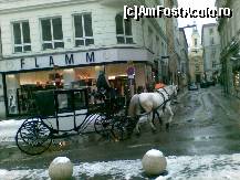 [P06] Plimbare cu trasura prin Viena - nu am incercat experienta ca nu am avut timp , dar la o viitoare revenire....... » foto by mirelutza
 - 
<span class="allrVoted glyphicon glyphicon-heart hidden" id="av70766"></span>
<a class="m-l-10 hidden" id="sv70766" onclick="voting_Foto_DelVot(,70766,461)" role="button">șterge vot <span class="glyphicon glyphicon-remove"></span></a>
<a id="v970766" class=" c-red"  onclick="voting_Foto_SetVot(70766)" role="button"><span class="glyphicon glyphicon-heart-empty"></span> <b>LIKE</b> = Votează poza</a> <img class="hidden"  id="f70766W9" src="/imagini/loader.gif" border="0" /><span class="AjErrMes hidden" id="e70766ErM"></span>