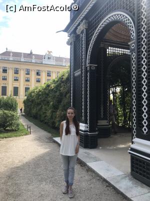 [P29] Schonbrunn » foto by Anduise
 - 
<span class="allrVoted glyphicon glyphicon-heart hidden" id="av1098615"></span>
<a class="m-l-10 hidden" id="sv1098615" onclick="voting_Foto_DelVot(,1098615,461)" role="button">șterge vot <span class="glyphicon glyphicon-remove"></span></a>
<a id="v91098615" class=" c-red"  onclick="voting_Foto_SetVot(1098615)" role="button"><span class="glyphicon glyphicon-heart-empty"></span> <b>LIKE</b> = Votează poza</a> <img class="hidden"  id="f1098615W9" src="/imagini/loader.gif" border="0" /><span class="AjErrMes hidden" id="e1098615ErM"></span>