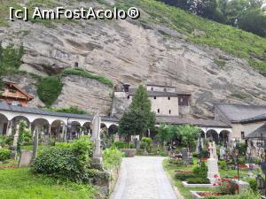 [P22] cimitirul Sf. Petru » foto by zlatna
 - 
<span class="allrVoted glyphicon glyphicon-heart hidden" id="av1166186"></span>
<a class="m-l-10 hidden" id="sv1166186" onclick="voting_Foto_DelVot(,1166186,464)" role="button">șterge vot <span class="glyphicon glyphicon-remove"></span></a>
<a id="v91166186" class=" c-red"  onclick="voting_Foto_SetVot(1166186)" role="button"><span class="glyphicon glyphicon-heart-empty"></span> <b>LIKE</b> = Votează poza</a> <img class="hidden"  id="f1166186W9" src="/imagini/loader.gif" border="0" /><span class="AjErrMes hidden" id="e1166186ErM"></span>