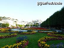 [P14] Covorul viu, multicolor al florilor din Gradinile Mirabell » foto by ileanaxperta*
 - 
<span class="allrVoted glyphicon glyphicon-heart hidden" id="av259601"></span>
<a class="m-l-10 hidden" id="sv259601" onclick="voting_Foto_DelVot(,259601,464)" role="button">șterge vot <span class="glyphicon glyphicon-remove"></span></a>
<a id="v9259601" class=" c-red"  onclick="voting_Foto_SetVot(259601)" role="button"><span class="glyphicon glyphicon-heart-empty"></span> <b>LIKE</b> = Votează poza</a> <img class="hidden"  id="f259601W9" src="/imagini/loader.gif" border="0" /><span class="AjErrMes hidden" id="e259601ErM"></span>