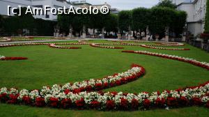 [P01] Gradinile Mirabell » foto by GIN2015*
 - 
<span class="allrVoted glyphicon glyphicon-heart hidden" id="av806015"></span>
<a class="m-l-10 hidden" id="sv806015" onclick="voting_Foto_DelVot(,806015,464)" role="button">șterge vot <span class="glyphicon glyphicon-remove"></span></a>
<a id="v9806015" class=" c-red"  onclick="voting_Foto_SetVot(806015)" role="button"><span class="glyphicon glyphicon-heart-empty"></span> <b>LIKE</b> = Votează poza</a> <img class="hidden"  id="f806015W9" src="/imagini/loader.gif" border="0" /><span class="AjErrMes hidden" id="e806015ErM"></span>