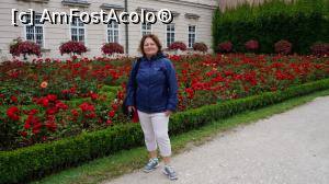 [P13]  -- <small>// FĂRĂ DESCRIERE</small> » foto by GIN2015*
 - 
<span class="allrVoted glyphicon glyphicon-heart hidden" id="av806033"></span>
<a class="m-l-10 hidden" id="sv806033" onclick="voting_Foto_DelVot(,806033,464)" role="button">șterge vot <span class="glyphicon glyphicon-remove"></span></a>
<a id="v9806033" class=" c-red"  onclick="voting_Foto_SetVot(806033)" role="button"><span class="glyphicon glyphicon-heart-empty"></span> <b>LIKE</b> = Votează poza</a> <img class="hidden"  id="f806033W9" src="/imagini/loader.gif" border="0" /><span class="AjErrMes hidden" id="e806033ErM"></span>