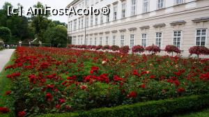 [P14] Palatul Mirabell si rozariul » foto by GIN2015*
 - 
<span class="allrVoted glyphicon glyphicon-heart hidden" id="av806034"></span>
<a class="m-l-10 hidden" id="sv806034" onclick="voting_Foto_DelVot(,806034,464)" role="button">șterge vot <span class="glyphicon glyphicon-remove"></span></a>
<a id="v9806034" class=" c-red"  onclick="voting_Foto_SetVot(806034)" role="button"><span class="glyphicon glyphicon-heart-empty"></span> <b>LIKE</b> = Votează poza</a> <img class="hidden"  id="f806034W9" src="/imagini/loader.gif" border="0" /><span class="AjErrMes hidden" id="e806034ErM"></span>