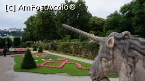 [P08] Unicorn strajuind asupra frumusetii » foto by GIN2015*
 - 
<span class="allrVoted glyphicon glyphicon-heart hidden" id="av806026"></span>
<a class="m-l-10 hidden" id="sv806026" onclick="voting_Foto_DelVot(,806026,464)" role="button">șterge vot <span class="glyphicon glyphicon-remove"></span></a>
<a id="v9806026" class=" c-red"  onclick="voting_Foto_SetVot(806026)" role="button"><span class="glyphicon glyphicon-heart-empty"></span> <b>LIKE</b> = Votează poza</a> <img class="hidden"  id="f806026W9" src="/imagini/loader.gif" border="0" /><span class="AjErrMes hidden" id="e806026ErM"></span>