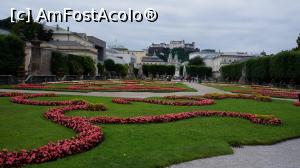 [P09] Decor floral » foto by GIN2015*
 - 
<span class="allrVoted glyphicon glyphicon-heart hidden" id="av806028"></span>
<a class="m-l-10 hidden" id="sv806028" onclick="voting_Foto_DelVot(,806028,464)" role="button">șterge vot <span class="glyphicon glyphicon-remove"></span></a>
<a id="v9806028" class=" c-red"  onclick="voting_Foto_SetVot(806028)" role="button"><span class="glyphicon glyphicon-heart-empty"></span> <b>LIKE</b> = Votează poza</a> <img class="hidden"  id="f806028W9" src="/imagini/loader.gif" border="0" /><span class="AjErrMes hidden" id="e806028ErM"></span>