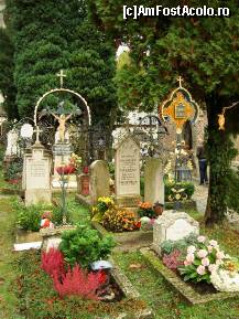 [P23] Friedhof St. Peter-Cel mai mare si frumos cimitir din lume  ce dateza din 1627. » foto by mirelaviolet
 - 
<span class="allrVoted glyphicon glyphicon-heart hidden" id="av173278"></span>
<a class="m-l-10 hidden" id="sv173278" onclick="voting_Foto_DelVot(,173278,464)" role="button">șterge vot <span class="glyphicon glyphicon-remove"></span></a>
<a id="v9173278" class=" c-red"  onclick="voting_Foto_SetVot(173278)" role="button"><span class="glyphicon glyphicon-heart-empty"></span> <b>LIKE</b> = Votează poza</a> <img class="hidden"  id="f173278W9" src="/imagini/loader.gif" border="0" /><span class="AjErrMes hidden" id="e173278ErM"></span>