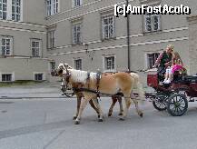 [P06] Salzburg - Domul si Muzeul Domului - in fata catedralei » foto by irma_ro*
 - 
<span class="allrVoted glyphicon glyphicon-heart hidden" id="av172782"></span>
<a class="m-l-10 hidden" id="sv172782" onclick="voting_Foto_DelVot(,172782,464)" role="button">șterge vot <span class="glyphicon glyphicon-remove"></span></a>
<a id="v9172782" class=" c-red"  onclick="voting_Foto_SetVot(172782)" role="button"><span class="glyphicon glyphicon-heart-empty"></span> <b>LIKE</b> = Votează poza</a> <img class="hidden"  id="f172782W9" src="/imagini/loader.gif" border="0" /><span class="AjErrMes hidden" id="e172782ErM"></span>