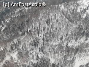 [P11] Telecabina spre Untersberg » foto by adso
 - 
<span class="allrVoted glyphicon glyphicon-heart hidden" id="av1517520"></span>
<a class="m-l-10 hidden" id="sv1517520" onclick="voting_Foto_DelVot(,1517520,464)" role="button">șterge vot <span class="glyphicon glyphicon-remove"></span></a>
<a id="v91517520" class=" c-red"  onclick="voting_Foto_SetVot(1517520)" role="button"><span class="glyphicon glyphicon-heart-empty"></span> <b>LIKE</b> = Votează poza</a> <img class="hidden"  id="f1517520W9" src="/imagini/loader.gif" border="0" /><span class="AjErrMes hidden" id="e1517520ErM"></span>