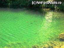 [P06] Pesti in Schwarzwassersee... si nu pescuia nimeni » foto by BOGDAN DSN
 - 
<span class="allrVoted glyphicon glyphicon-heart hidden" id="av62897"></span>
<a class="m-l-10 hidden" id="sv62897" onclick="voting_Foto_DelVot(,62897,465)" role="button">șterge vot <span class="glyphicon glyphicon-remove"></span></a>
<a id="v962897" class=" c-red"  onclick="voting_Foto_SetVot(62897)" role="button"><span class="glyphicon glyphicon-heart-empty"></span> <b>LIKE</b> = Votează poza</a> <img class="hidden"  id="f62897W9" src="/imagini/loader.gif" border="0" /><span class="AjErrMes hidden" id="e62897ErM"></span>
