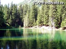 [P07] Lacul din vis - Schwarzwassersee » foto by BOGDAN DSN
 - 
<span class="allrVoted glyphicon glyphicon-heart hidden" id="av62899"></span>
<a class="m-l-10 hidden" id="sv62899" onclick="voting_Foto_DelVot(,62899,465)" role="button">șterge vot <span class="glyphicon glyphicon-remove"></span></a>
<a id="v962899" class=" c-red"  onclick="voting_Foto_SetVot(62899)" role="button"><span class="glyphicon glyphicon-heart-empty"></span> <b>LIKE</b> = Votează poza</a> <img class="hidden"  id="f62899W9" src="/imagini/loader.gif" border="0" /><span class="AjErrMes hidden" id="e62899ErM"></span>