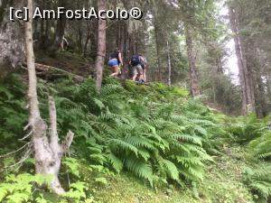 [P44] Prin padure alaturi de alti turisti » foto by mishu
 - 
<span class="allrVoted glyphicon glyphicon-heart hidden" id="av992907"></span>
<a class="m-l-10 hidden" id="sv992907" onclick="voting_Foto_DelVot(,992907,465)" role="button">șterge vot <span class="glyphicon glyphicon-remove"></span></a>
<a id="v9992907" class=" c-red"  onclick="voting_Foto_SetVot(992907)" role="button"><span class="glyphicon glyphicon-heart-empty"></span> <b>LIKE</b> = Votează poza</a> <img class="hidden"  id="f992907W9" src="/imagini/loader.gif" border="0" /><span class="AjErrMes hidden" id="e992907ErM"></span>