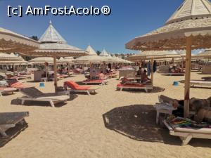 [P11] Plaja din Hurghada, cu multe, multe sezlonguri si umbrelute » foto by dorgo
 - 
<span class="allrVoted glyphicon glyphicon-heart hidden" id="av1364292"></span>
<a class="m-l-10 hidden" id="sv1364292" onclick="voting_Foto_DelVot(,1364292,469)" role="button">șterge vot <span class="glyphicon glyphicon-remove"></span></a>
<a id="v91364292" class=" c-red"  onclick="voting_Foto_SetVot(1364292)" role="button"><span class="glyphicon glyphicon-heart-empty"></span> <b>LIKE</b> = Votează poza</a> <img class="hidden"  id="f1364292W9" src="/imagini/loader.gif" border="0" /><span class="AjErrMes hidden" id="e1364292ErM"></span>