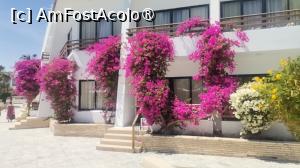 [P06] In drum spre plaja treci prin minunata gradina a Grand Hotelului Hurghada » foto by dorgo
 - 
<span class="allrVoted glyphicon glyphicon-heart hidden" id="av1428937"></span>
<a class="m-l-10 hidden" id="sv1428937" onclick="voting_Foto_DelVot(,1428937,469)" role="button">șterge vot <span class="glyphicon glyphicon-remove"></span></a>
<a id="v91428937" class=" c-red"  onclick="voting_Foto_SetVot(1428937)" role="button"><span class="glyphicon glyphicon-heart-empty"></span> <b>LIKE</b> = Votează poza</a> <img class="hidden"  id="f1428937W9" src="/imagini/loader.gif" border="0" /><span class="AjErrMes hidden" id="e1428937ErM"></span>