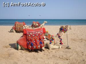 [P24] Asteptand turisti » foto by bica adriana
 - 
<span class="allrVoted glyphicon glyphicon-heart hidden" id="av1057513"></span>
<a class="m-l-10 hidden" id="sv1057513" onclick="voting_Foto_DelVot(,1057513,472)" role="button">șterge vot <span class="glyphicon glyphicon-remove"></span></a>
<a id="v91057513" class=" c-red"  onclick="voting_Foto_SetVot(1057513)" role="button"><span class="glyphicon glyphicon-heart-empty"></span> <b>LIKE</b> = Votează poza</a> <img class="hidden"  id="f1057513W9" src="/imagini/loader.gif" border="0" /><span class="AjErrMes hidden" id="e1057513ErM"></span>