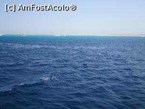 [P25] Marea Rosie e... albastra ca azurul » foto by bica adriana
 - 
<span class="allrVoted glyphicon glyphicon-heart hidden" id="av1057515"></span>
<a class="m-l-10 hidden" id="sv1057515" onclick="voting_Foto_DelVot(,1057515,472)" role="button">șterge vot <span class="glyphicon glyphicon-remove"></span></a>
<a id="v91057515" class=" c-red"  onclick="voting_Foto_SetVot(1057515)" role="button"><span class="glyphicon glyphicon-heart-empty"></span> <b>LIKE</b> = Votează poza</a> <img class="hidden"  id="f1057515W9" src="/imagini/loader.gif" border="0" /><span class="AjErrMes hidden" id="e1057515ErM"></span>