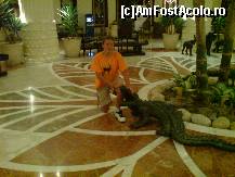 [P07] de vorba cu un crocodil » foto by rtoma
 - 
<span class="allrVoted glyphicon glyphicon-heart hidden" id="av62137"></span>
<a class="m-l-10 hidden" id="sv62137" onclick="voting_Foto_DelVot(,62137,472)" role="button">șterge vot <span class="glyphicon glyphicon-remove"></span></a>
<a id="v962137" class=" c-red"  onclick="voting_Foto_SetVot(62137)" role="button"><span class="glyphicon glyphicon-heart-empty"></span> <b>LIKE</b> = Votează poza</a> <img class="hidden"  id="f62137W9" src="/imagini/loader.gif" border="0" /><span class="AjErrMes hidden" id="e62137ErM"></span>