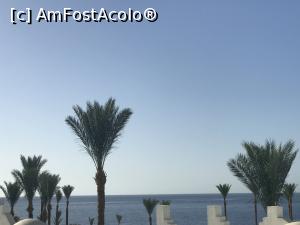[P13] O vacanţă de relaxare - vedere la mare din balcon » foto by nicole33
 - 
<span class="allrVoted glyphicon glyphicon-heart hidden" id="av1091167"></span>
<a class="m-l-10 hidden" id="sv1091167" onclick="voting_Foto_DelVot(,1091167,48)" role="button">șterge vot <span class="glyphicon glyphicon-remove"></span></a>
<a id="v91091167" class=" c-red"  onclick="voting_Foto_SetVot(1091167)" role="button"><span class="glyphicon glyphicon-heart-empty"></span> <b>LIKE</b> = Votează poza</a> <img class="hidden"  id="f1091167W9" src="/imagini/loader.gif" border="0" /><span class="AjErrMes hidden" id="e1091167ErM"></span>