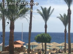 [P16] O vacanţă de relaxare - plaja şi marea » foto by nicole33
 - 
<span class="allrVoted glyphicon glyphicon-heart hidden" id="av1091170"></span>
<a class="m-l-10 hidden" id="sv1091170" onclick="voting_Foto_DelVot(,1091170,48)" role="button">șterge vot <span class="glyphicon glyphicon-remove"></span></a>
<a id="v91091170" class=" c-red"  onclick="voting_Foto_SetVot(1091170)" role="button"><span class="glyphicon glyphicon-heart-empty"></span> <b>LIKE</b> = Votează poza</a> <img class="hidden"  id="f1091170W9" src="/imagini/loader.gif" border="0" /><span class="AjErrMes hidden" id="e1091170ErM"></span>