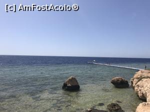 [P23] O vacanţă de relaxare - stânci în mare şi pontonul vecinilor » foto by nicole33
 - 
<span class="allrVoted glyphicon glyphicon-heart hidden" id="av1091177"></span>
<a class="m-l-10 hidden" id="sv1091177" onclick="voting_Foto_DelVot(,1091177,48)" role="button">șterge vot <span class="glyphicon glyphicon-remove"></span></a>
<a id="v91091177" class=" c-red"  onclick="voting_Foto_SetVot(1091177)" role="button"><span class="glyphicon glyphicon-heart-empty"></span> <b>LIKE</b> = Votează poza</a> <img class="hidden"  id="f1091177W9" src="/imagini/loader.gif" border="0" /><span class="AjErrMes hidden" id="e1091177ErM"></span>