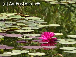[P17] In gradina botanica din Blanes » foto by simon_niculae
 - 
<span class="allrVoted glyphicon glyphicon-heart hidden" id="av786840"></span>
<a class="m-l-10 hidden" id="sv786840" onclick="voting_Foto_DelVot(,786840,480)" role="button">șterge vot <span class="glyphicon glyphicon-remove"></span></a>
<a id="v9786840" class=" c-red"  onclick="voting_Foto_SetVot(786840)" role="button"><span class="glyphicon glyphicon-heart-empty"></span> <b>LIKE</b> = Votează poza</a> <img class="hidden"  id="f786840W9" src="/imagini/loader.gif" border="0" /><span class="AjErrMes hidden" id="e786840ErM"></span>