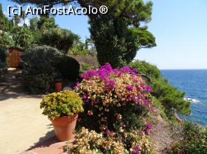 [P20] Gradina botanica, Blanes » foto by simon_niculae
 - 
<span class="allrVoted glyphicon glyphicon-heart hidden" id="av786843"></span>
<a class="m-l-10 hidden" id="sv786843" onclick="voting_Foto_DelVot(,786843,480)" role="button">șterge vot <span class="glyphicon glyphicon-remove"></span></a>
<a id="v9786843" class=" c-red"  onclick="voting_Foto_SetVot(786843)" role="button"><span class="glyphicon glyphicon-heart-empty"></span> <b>LIKE</b> = Votează poza</a> <img class="hidden"  id="f786843W9" src="/imagini/loader.gif" border="0" /><span class="AjErrMes hidden" id="e786843ErM"></span>