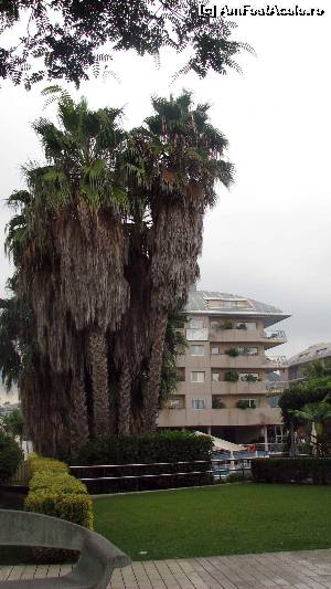 [P03] Santa Susanna-zina hoteliera » foto by Hertha
 - 
<span class="allrVoted glyphicon glyphicon-heart hidden" id="av660928"></span>
<a class="m-l-10 hidden" id="sv660928" onclick="voting_Foto_DelVot(,660928,480)" role="button">șterge vot <span class="glyphicon glyphicon-remove"></span></a>
<a id="v9660928" class=" c-red"  onclick="voting_Foto_SetVot(660928)" role="button"><span class="glyphicon glyphicon-heart-empty"></span> <b>LIKE</b> = Votează poza</a> <img class="hidden"  id="f660928W9" src="/imagini/loader.gif" border="0" /><span class="AjErrMes hidden" id="e660928ErM"></span>