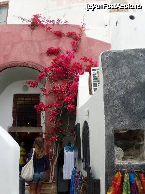 [P16] prin Santorini.  » foto by Pierre
 - 
<span class="allrVoted glyphicon glyphicon-heart hidden" id="av436784"></span>
<a class="m-l-10 hidden" id="sv436784" onclick="voting_Foto_DelVot(,436784,481)" role="button">șterge vot <span class="glyphicon glyphicon-remove"></span></a>
<a id="v9436784" class=" c-red"  onclick="voting_Foto_SetVot(436784)" role="button"><span class="glyphicon glyphicon-heart-empty"></span> <b>LIKE</b> = Votează poza</a> <img class="hidden"  id="f436784W9" src="/imagini/loader.gif" border="0" /><span class="AjErrMes hidden" id="e436784ErM"></span>