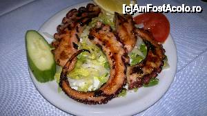 [P07] delicioasa caracatita...  » foto by Pierre
 - 
<span class="allrVoted glyphicon glyphicon-heart hidden" id="av436751"></span>
<a class="m-l-10 hidden" id="sv436751" onclick="voting_Foto_DelVot(,436751,481)" role="button">șterge vot <span class="glyphicon glyphicon-remove"></span></a>
<a id="v9436751" class=" c-red"  onclick="voting_Foto_SetVot(436751)" role="button"><span class="glyphicon glyphicon-heart-empty"></span> <b>LIKE</b> = Votează poza</a> <img class="hidden"  id="f436751W9" src="/imagini/loader.gif" border="0" /><span class="AjErrMes hidden" id="e436751ErM"></span>