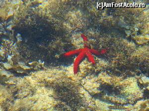 [P15] Gramvousa - steaua fara nume » foto by MCM
 - 
<span class="allrVoted glyphicon glyphicon-heart hidden" id="av667478"></span>
<a class="m-l-10 hidden" id="sv667478" onclick="voting_Foto_DelVot(,667478,481)" role="button">șterge vot <span class="glyphicon glyphicon-remove"></span></a>
<a id="v9667478" class=" c-red"  onclick="voting_Foto_SetVot(667478)" role="button"><span class="glyphicon glyphicon-heart-empty"></span> <b>LIKE</b> = Votează poza</a> <img class="hidden"  id="f667478W9" src="/imagini/loader.gif" border="0" /><span class="AjErrMes hidden" id="e667478ErM"></span>