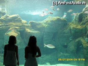 [P19] In nordul insulei, intre Iraklio si Rethymno este si un Aquarium care merita vizitat, desigur contra cost.  » foto by calatorul
 - 
<span class="allrVoted glyphicon glyphicon-heart hidden" id="av565270"></span>
<a class="m-l-10 hidden" id="sv565270" onclick="voting_Foto_DelVot(,565270,481)" role="button">șterge vot <span class="glyphicon glyphicon-remove"></span></a>
<a id="v9565270" class=" c-red"  onclick="voting_Foto_SetVot(565270)" role="button"><span class="glyphicon glyphicon-heart-empty"></span> <b>LIKE</b> = Votează poza</a> <img class="hidden"  id="f565270W9" src="/imagini/loader.gif" border="0" /><span class="AjErrMes hidden" id="e565270ErM"></span>